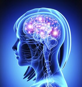 training neuro sensoriel